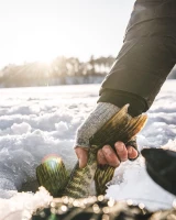 Wool Half Finger Glove, kolor: 030 - Steel