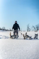 Aclima ReBorn Terry Pullover