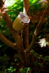 SIGG Travel Mug