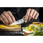 Takumi Paring Knife 10 cm