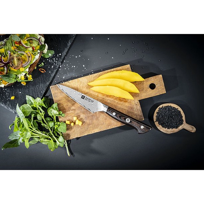 Takumi Paring Knife 10 cm