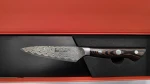 Takumi Paring Knife 10 cm