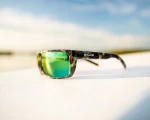 Sigs Br. Tort Gloss Green Mirror PC