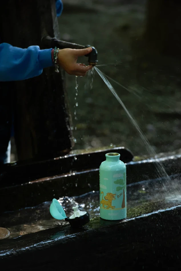 SIGG KBT Disney 0,4 L, kolor: Simba Roar