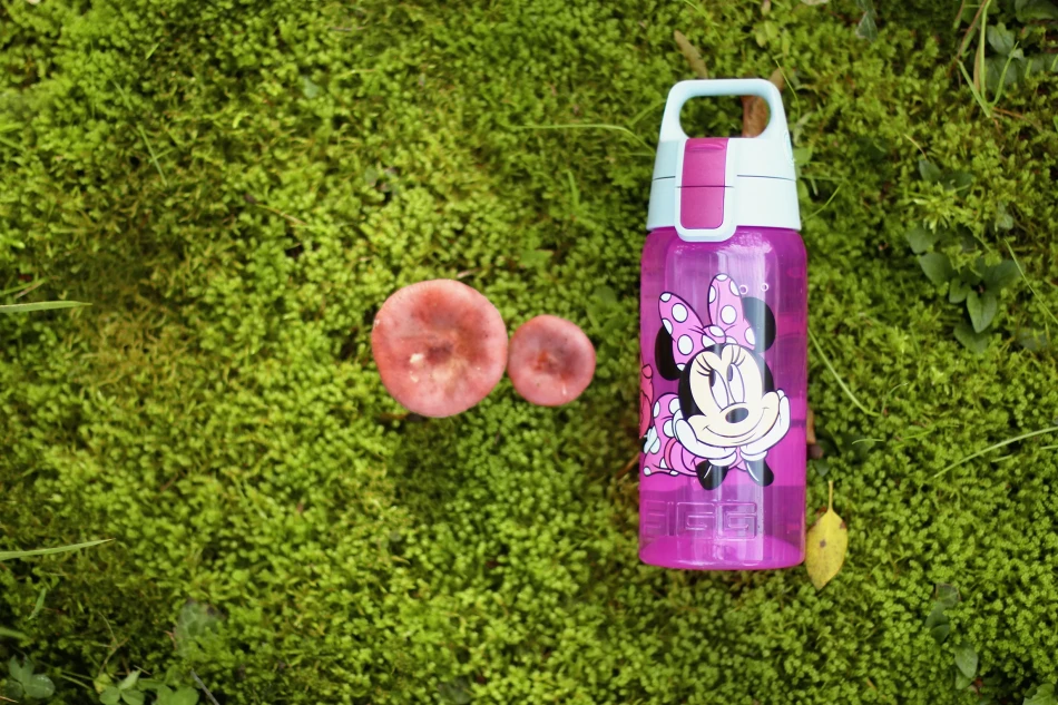SIGG Viva One Disney 0,5 L, kolor: Junior Minnie