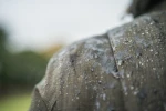 Seeland Highpoint Harriet Jacket