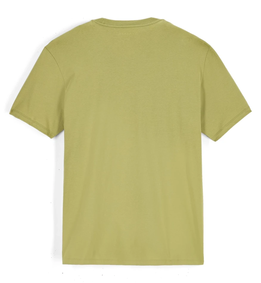 Logo T-Shirt, kolor: 1347 - Tent Green