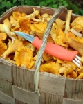 Marttiini Mushroom Knife Ruska