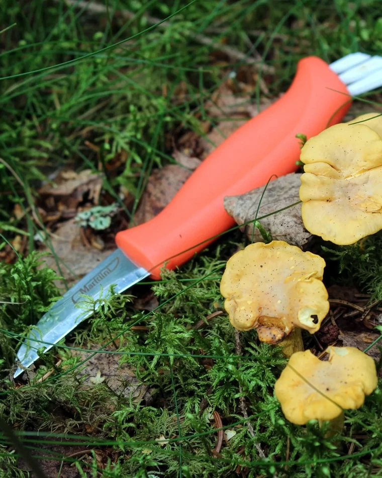 Marttiini Mushroom Knife Ruska