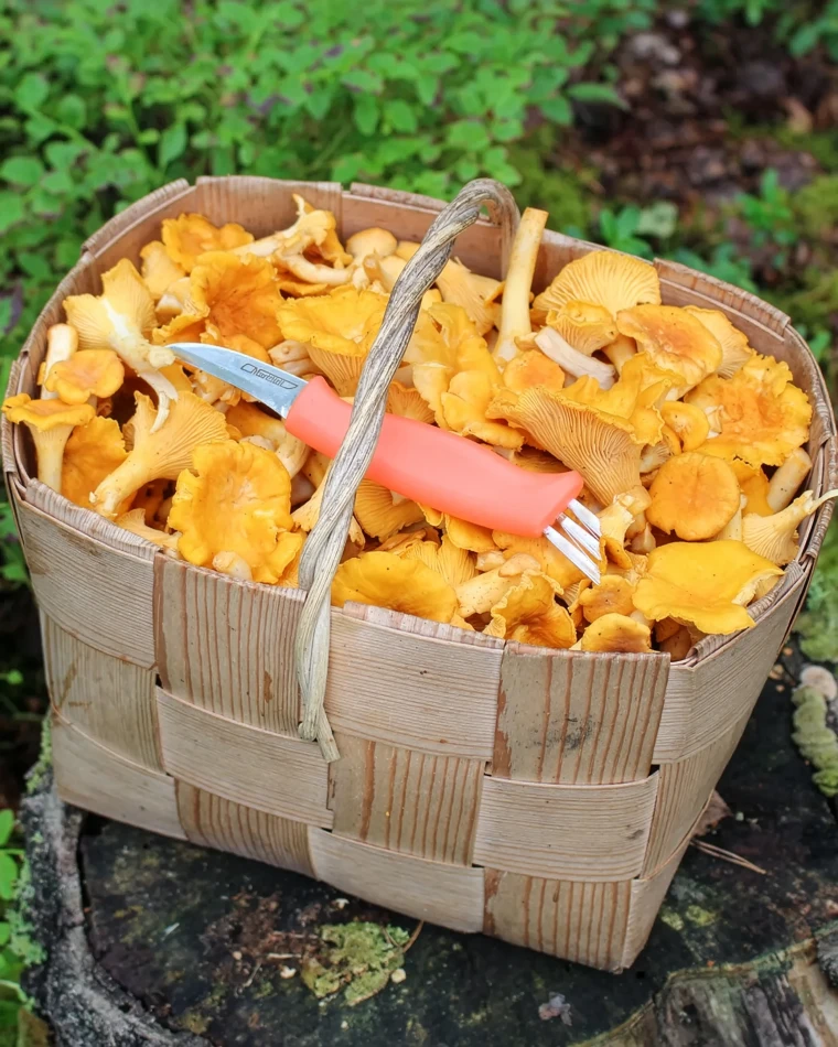 Marttiini Mushroom Knife Ruska