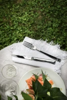 Opinel Perpetue Table Knife Set