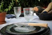 Opinel Facette Ash Table knives