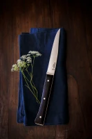 Opinel Set of 4 Facette Dark Ash Table Knives