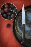 Opinel Set of 4 Facette Dark Ash Table Knives