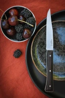 Opinel Set of 4 Facette Dark Ash Table Knives