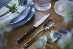 Opinel Set of 4 Facette Dark Ash Table Knives