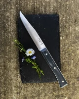 Opinel Set of 4 Facette Dark Ash Table Knives