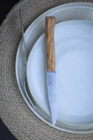 Opinel Set of 4 Facette Olive Wood Table Knives
