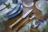 Opinel Set of 4 Facette Olive Wood Table Knives