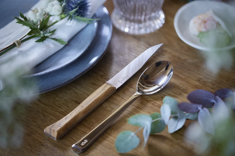 Opinel Set of 4 Facette Olive Wood Table Knives