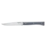 Opinel Set of 4 Facette Slate Micro Serrated Table Knives