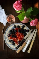 Opinel Set of 4 Facette Mixed Table Knives