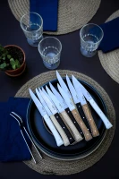 Opinel Set of 4 Facette Mixed Table Knives
