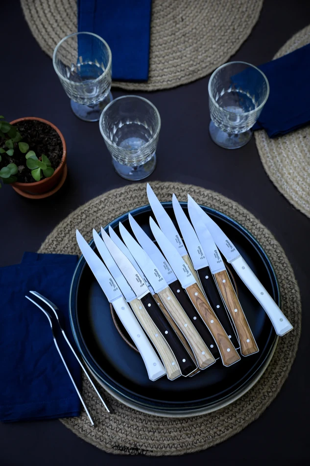 Opinel Set of 4 Facette Mixed Table Knives