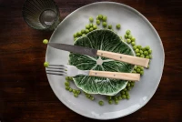 Opinel Sylve Ash Fork
