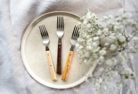 Opinel Sylve Ash Fork