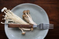 Opinel Sylve Dark Ash Fork