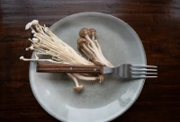 Opinel Sylve Dark Ash Fork