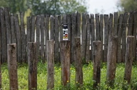 SIGG WMB One Disney 0,6 L, kolor: Mickey Retro 7