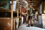 Harkila Fjell Shorts, kolor: Dark Earth/Shadow Brown