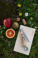 Opinel Plumier No.10 Corkscrew Bottle Opener