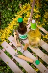 Opinel Plumier No.10 Corkscrew Bottle Opener