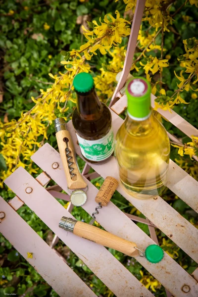 Opinel Plumier No.10 Corkscrew Bottle Opener