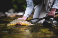 Access Boot, kolor: 781 - Dark Stone - 02