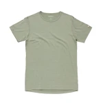 Devold Breeze Plus Merino 200 T-Shirt MAN, kolor: Fog