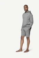 Devold Everyday Hoodie MAN, kolor: Griffin - prezentacja na modelu - przód