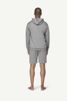 Devold Everyday Hoodie MAN, kolor: Griffin - prezentacja na modelu - tył