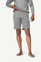 Devold Everyday Shorts MAN, kolor: Griffin - prezentacja na modelu - przód
