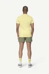 Devold Endurance Merino 130 T-Shirt MAN, kolor: Frozen - prezentacja na modelu - tył