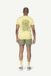 Devold Active Stamp Tee MAN, kolor: Frozen - prezentacja na modelu - tył
