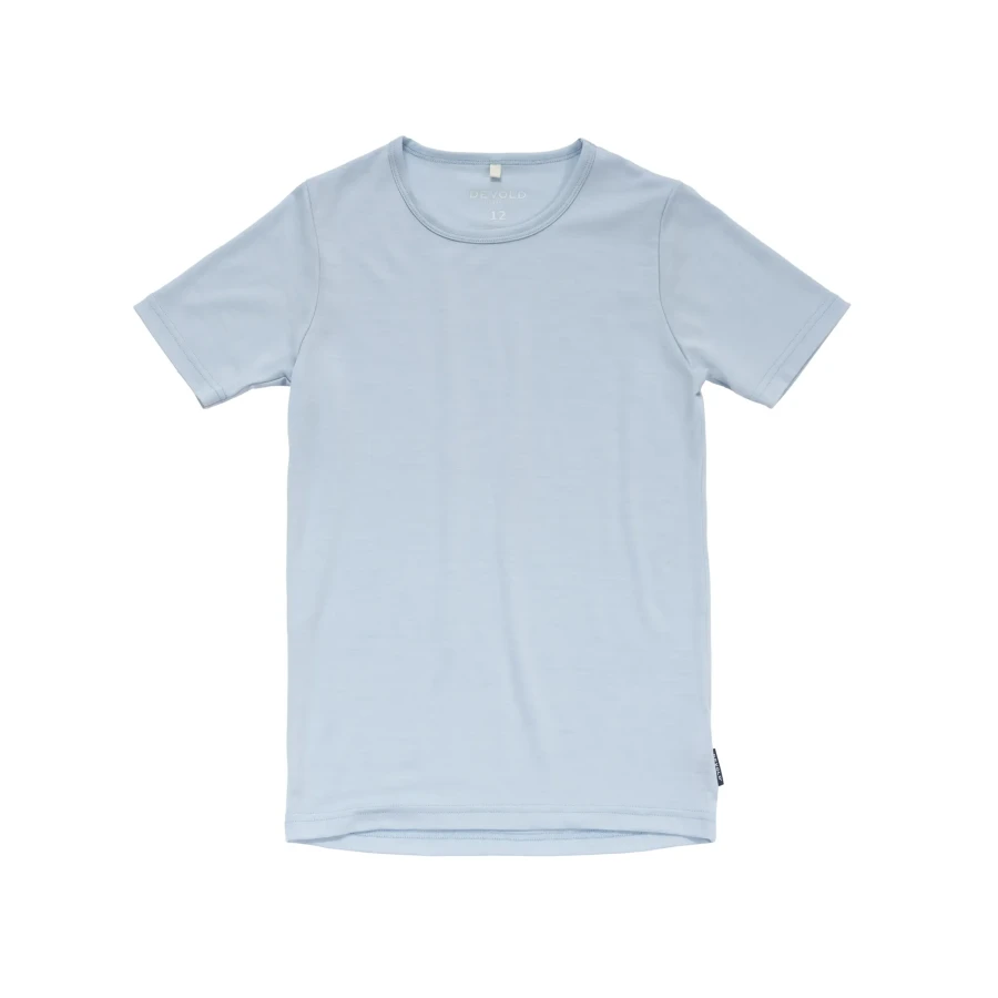 Devold Classic Tee JR, kolor: Dawn