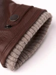 Hestra Utsjo Chestnut 2
