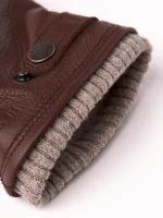 Hestra Utsjo Chestnut 2