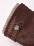 Hestra Utsjo Chestnut 3