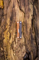 Rebar, kolor: Burnt Sienna - terenowe