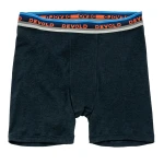 Devold Lauparen Merino 190 Boxer MAN, kolor: Ink